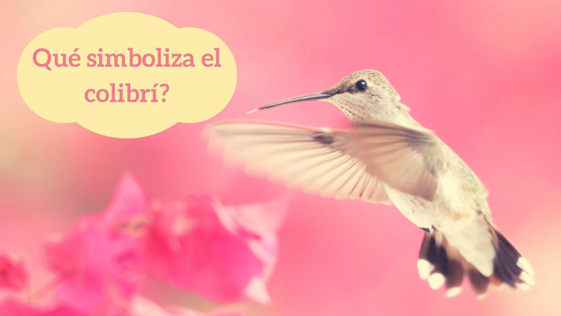 ¿Qué simboliza el colibrí?