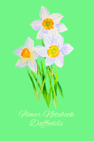 Cuaderno de Flores – Narcisos